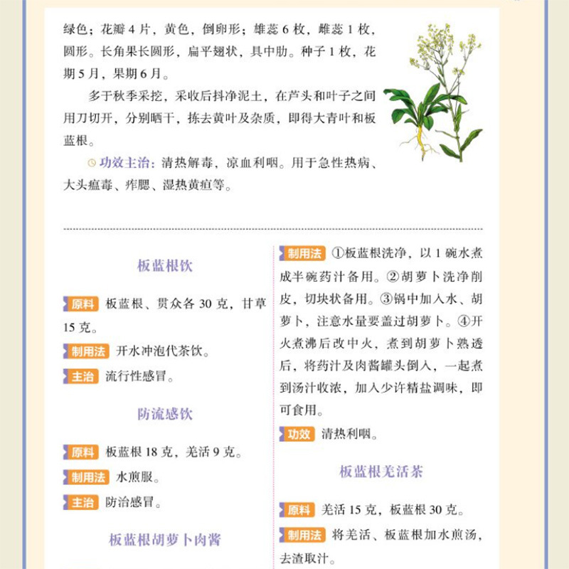 คู่มือฉบับย่อการบำรุงร่างกายด้ - Herbal Wellness Tonic บทวิจารณ์และราคา